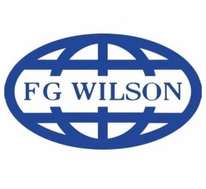 logo fg